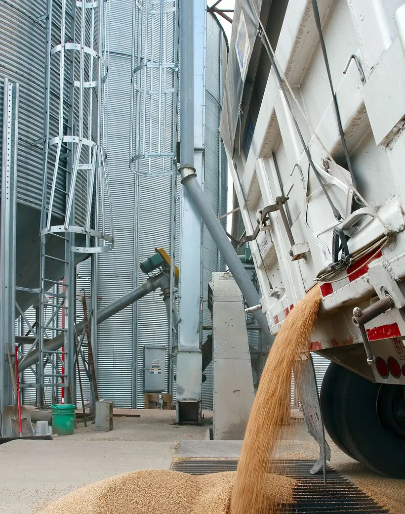 Recepción y almacenamiento de grano en planta